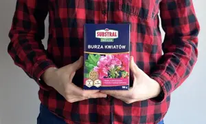Osoba w koszuli w kratę trzyma opakowanie nawozu "Burza Kwiatów", który obiecuje obfite kwitnienie.