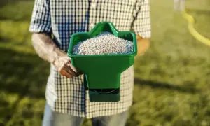 Mężczyzna w kratę trzyma zielony rozsiewacz z nawozem, gotowy do pracy. Dowiedz się, jak siać trawę na starym trawniku, by odzyskać jego piękno.