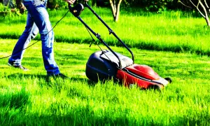 Mężczyzna kosi zieloną trawę. Czy można kosić mokrą trawę? Lepiej poczekać, aż wyschnie, by uniknąć problemów z kosiarką.