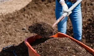 Czarne złoto ogrodu: Jak zwiększyć próchnicę gleby krok po kroku?