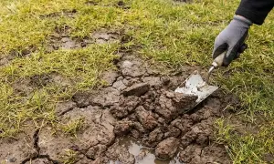 Ręka w rękawiczce używa łopatki do **piaskowania trawnika**, usuwając zbite, mokre grudki ziemi.