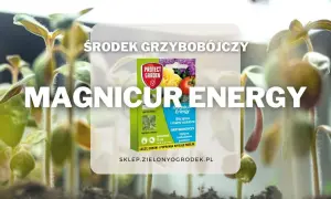 Środek grzybobójczy Magnicur Energy chroni młode rośliny przed chorobami. Zapewnia im energię do zdrowego wzrostu.