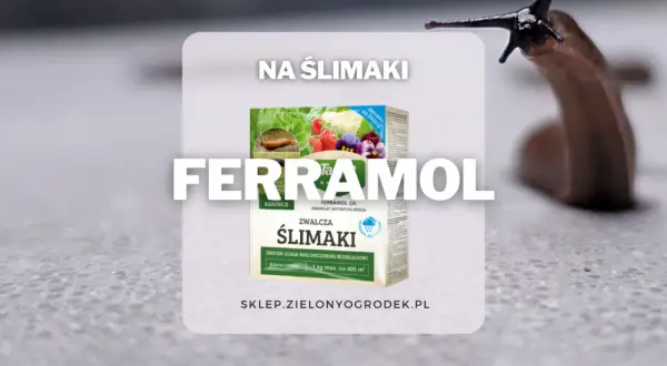 Ferrramol - fosforan żelaza na ślimaki. Granulat skutecznie zwalcza ślimaki, ulegając biodegradacji. Chroni rośliny.
