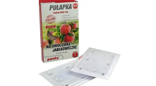 Pułapka na owocówkę jabłkóweczkę, skuteczna i bezpieczna dla sadu. Opakowanie zawiera 2 sztuki.