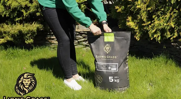 Trawa na suche tereny Lion's Grass Oasis Pro, 5 kg. Idealna mieszanka do stworzenia pięknego trawnika nawet w trudnych warunkach.