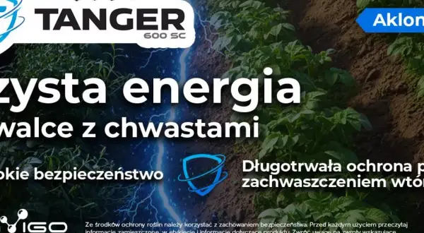 Aklonifen - czysta energia w walce z chwastami. Długotrwała ochrona roślin przed zachwaszczeniem wtórnym.