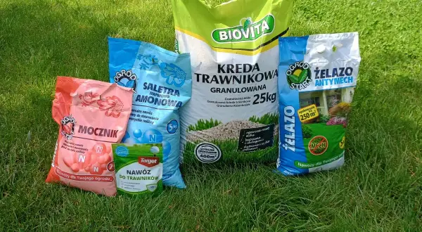 Na trawniku leżą różne nawozy: mocznik, saletra amonowa, kreda trawnikowa, nawóz do trawników i żelazo antymech. To wszystko, czego potrzebuje Twój ogród, by pięknie rosnąć.