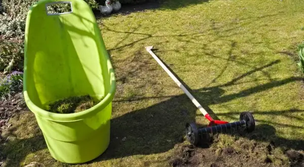 Zielony pojemnik na odpady ogrodowe i aerator do trawnika, gotowe do usunięcia mchu i resztek po zastosowaniu siarczanu żelaza.