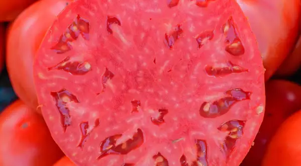 Przekrojony pomidor malinowy, ukazujący jego soczysty miąższ i nasiona. Idealny do sałatek, polecane odmiany zachwycają smakiem.