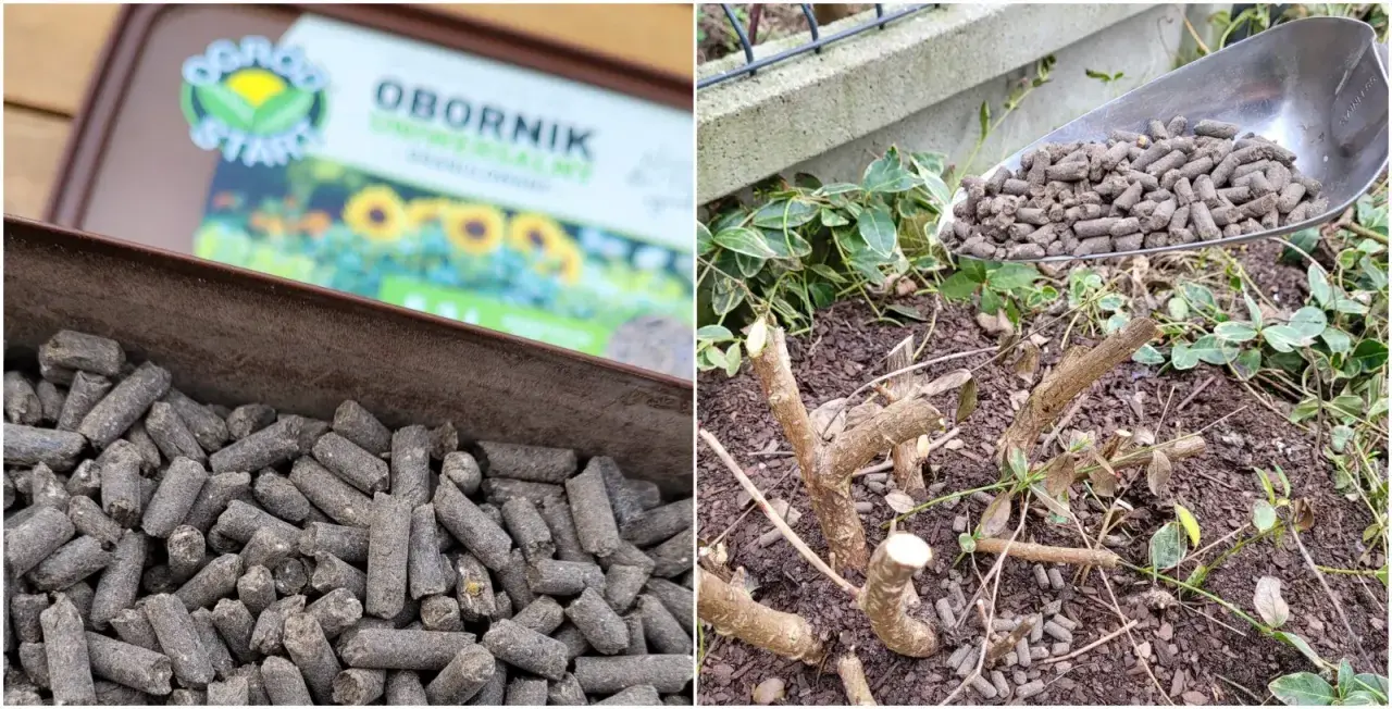 Granulat obornika bydlęcego w łopatce i w pojemniku, obok przyciętych gałęzi roślin.