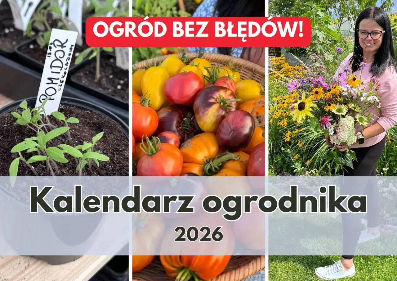 przygotowanie gleby pod siew kwiatów